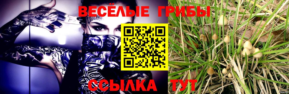 Галлюциногенные грибы MAGIC MUSHROOMS Светлоград